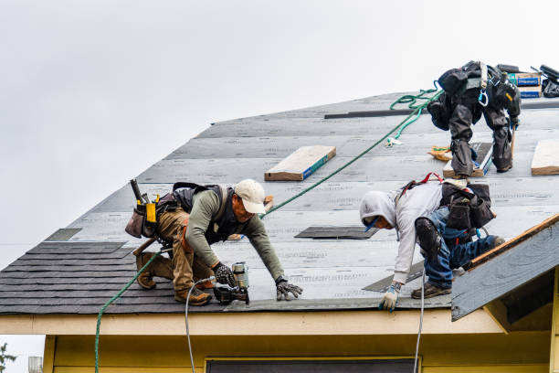 Professional Emergency Roof Repair technician working in Etowah, NC